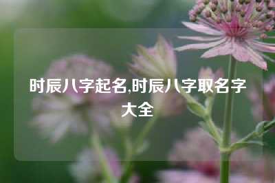 时辰八字起名,时辰八字取名字大全