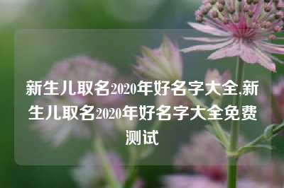 新生儿取名2020年好名字大全,新生儿取名2020年好名字大全免费测试