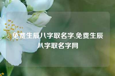 免费生辰八字取名字,免费生辰八字取名字网