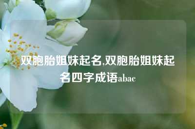 双胞胎姐妹起名,双胞胎姐妹起名四字成语abac