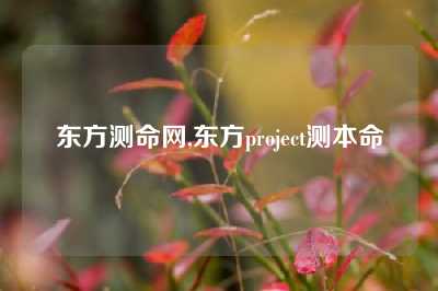 东方测命网,东方project测本命