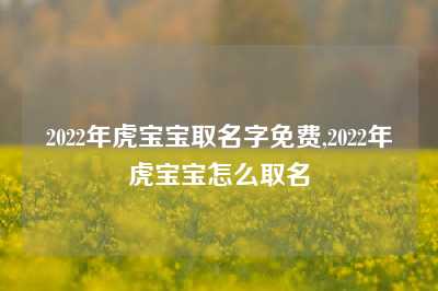 2022年虎宝宝取名字免费,2022年虎宝宝怎么取名