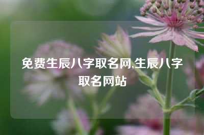 免费生辰八字取名网,生辰八字取名网站