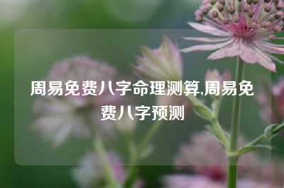 周易免费八字命理测算,周易免费八字预测