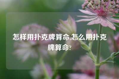 怎样用扑克牌算命,怎么用扑克牌算命?