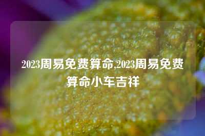 2023周易免费算命,2023周易免费算命小车吉祥