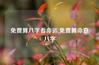 免费算八字看命运,免费算命查八字