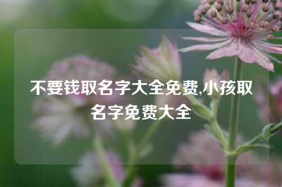 不要钱取名字大全免费,小孩取名字免费大全