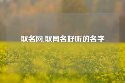 取名网,取网名好听的名字