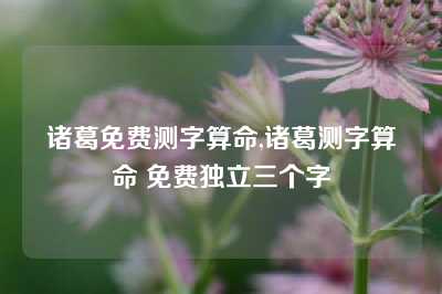 诸葛免费测字算命,诸葛测字算命 免费独立三个字