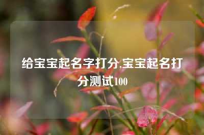 给宝宝起名字打分,宝宝起名打分测试100