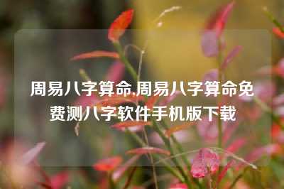 周易八字算命,周易八字算命免费测八字软件手机版下载