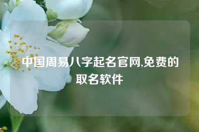 中国周易八字起名官网,免费的取名软件