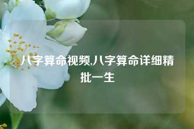 八字算命视频,八字算命详细精批一生