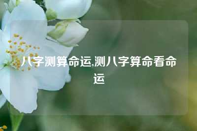 八字测算命运,测八字算命看命运