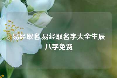 易经取名,易经取名字大全生辰八字免费