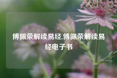 傅佩荣解读易经,傅佩荣解读易经电子书