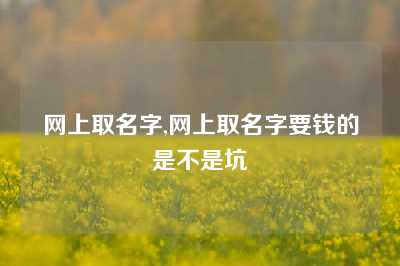 网上取名字,网上取名字要钱的是不是坑